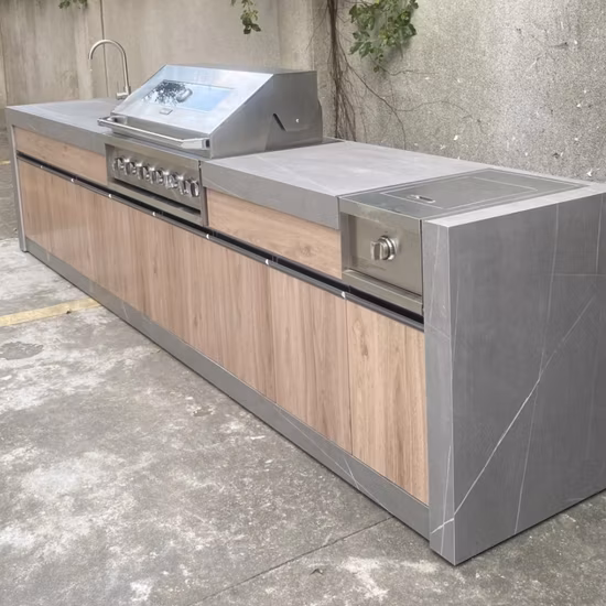 Affûteur de couteaux à lame de 8/10 pouces, affûteur de couteaux en acier diamant lourd, tige d'affûtage de couteaux de cuisine